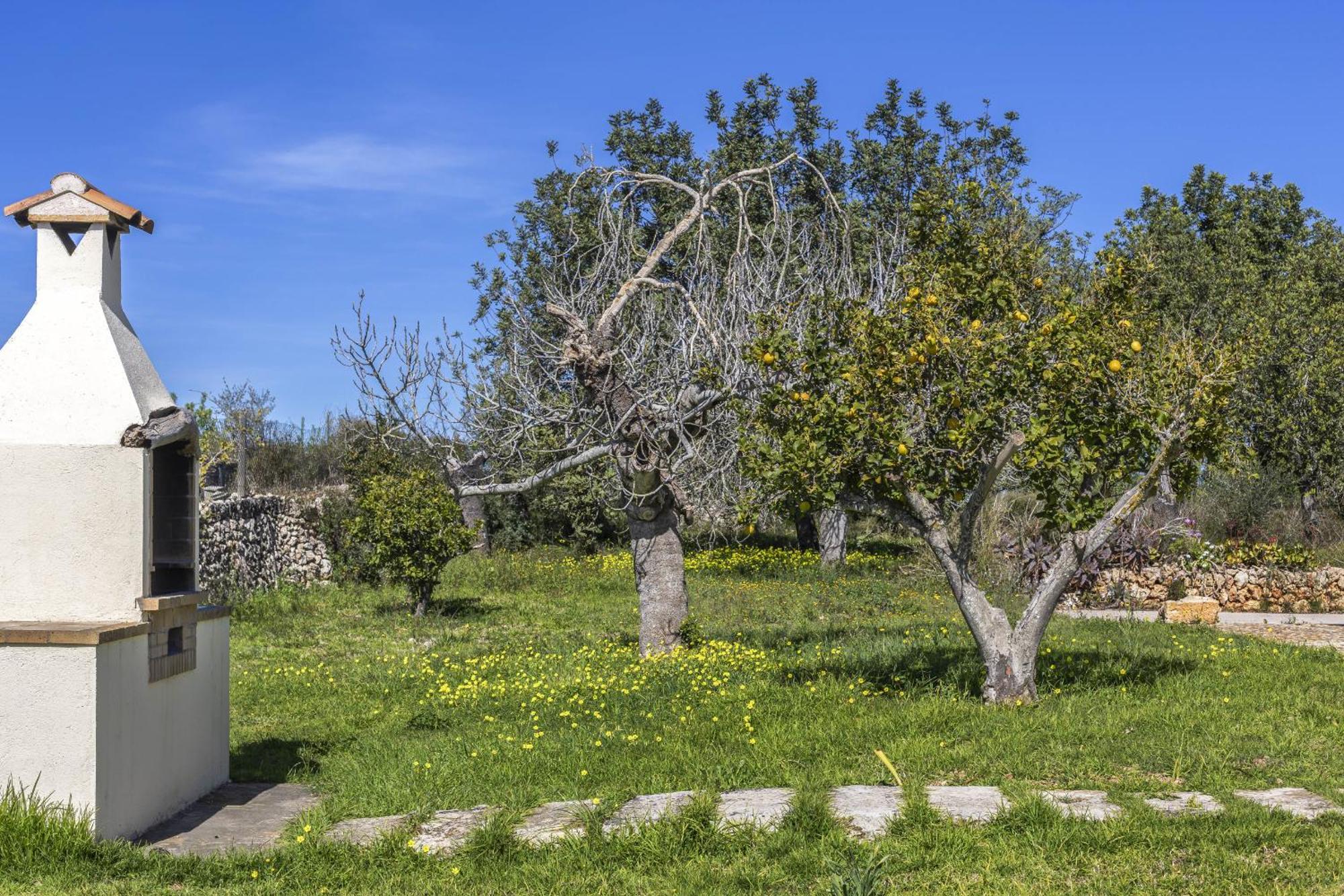 Finca Sa Torreta ซานตามาร์กาลิดา ภายนอก รูปภาพ